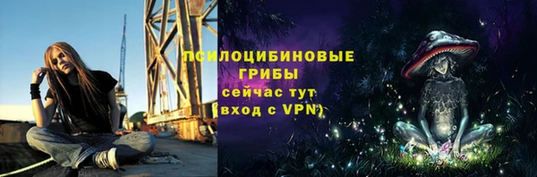 бошки Белокуриха
