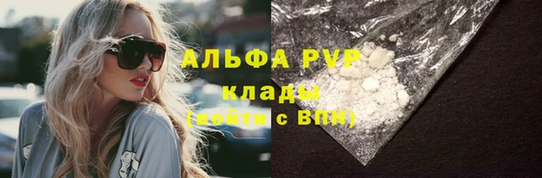 бошки Белокуриха